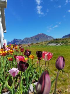 BanPim Beachside Lofoten - Ramberg - 3