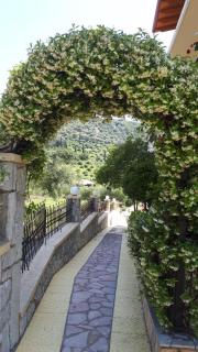 Zozefina Apartments and Studios - Parga - 3