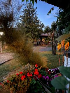 B&B VILLA LUPIDI - Corridonia - 5