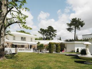 Chambres d'Hôtes Villa La Louisiane - Arès - 5