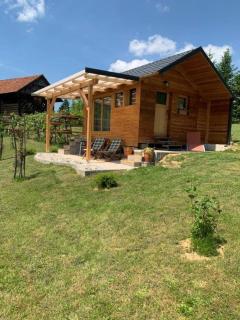 Hillside Bio Resort Delux Apartments - Šešče pri Preboldu - 8
