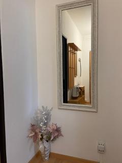 Apartment Fialka - Olomouc - 7
