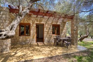 Stonehouse in Olives - Ulcinj - 2