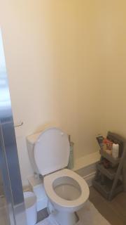 SUNSHINE ROOM - Colchester - 4
