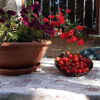 B&B MAMMA ARI - Fermo - 5