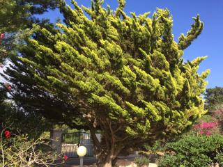 Favignana Casetta Elda - 9