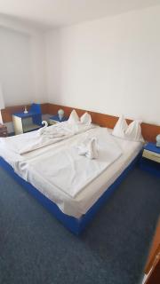 Hotel Banat - 9