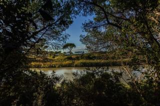 Camping Village Il Sole - Marina di Grosseto - 0