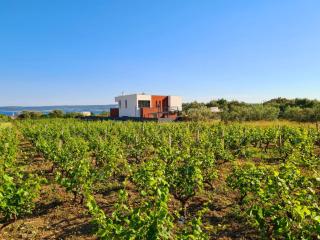Villa SEVEN HEARTS with heated pool and private basketball playground near Split - Kaštela - 3