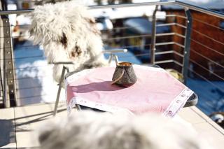 Appartements Haus Dr Muxel - 6