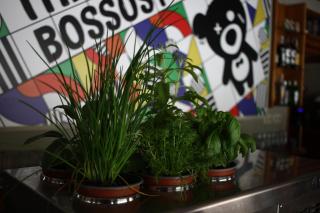 The Bossost - Bossòst - 4