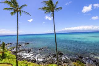Noelani 304 3Bdrm 2,5 Bath Condo - 5