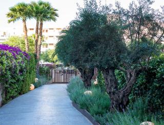Apartaments B-Llobet Sun & Confort - Ibiza città - 4