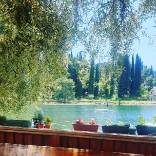 Tondo - Tivat - 3