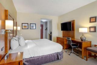 Comfort Inn Columbus near Fort Benning - Columbus - 6
