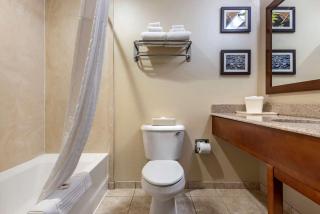 Comfort Inn & Suites Farmington - Victor - Farmington - 7