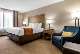 Comfort Inn & Suites Farmington - Victor - Farmington - 6