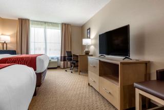 Comfort Inn & Suites Farmington - Victor - Farmington - 5