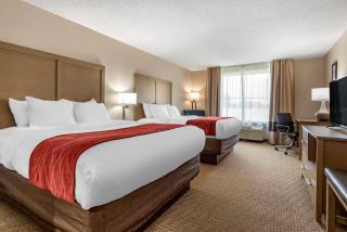 Comfort Inn & Suites Farmington - Victor - Farmington - 4