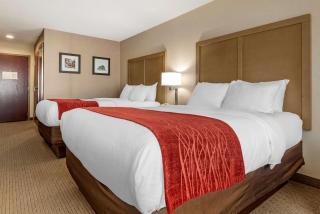 Comfort Inn & Suites Farmington - Victor - Farmington - 3