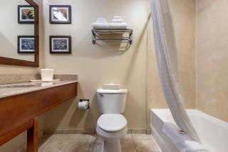 Comfort Inn & Suites Farmington - Victor - Farmington - 2