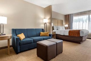 Comfort Inn & Suites Farmington - Victor - Farmington - 1
