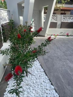 Aretousa - Center Luxury Suites 1 - Néa Péramos - 9