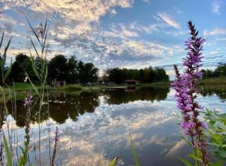 István Parkhotel és Gasztrofarm - 2