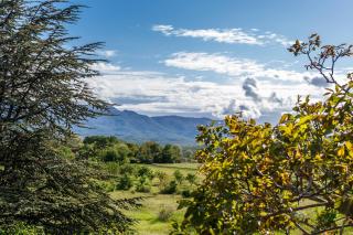 Casa di Oliva-house with heated pool & jacuzzi in Trilj, Croatia - 1