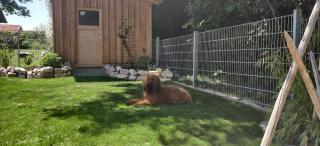 Ferienwohnung Ponlach - Tittmoning - 3