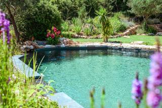Provence chic, piscine naturelle, détente spa - jacuzzi pour 2 - Besse-sur-Issole - 2