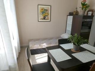 Apartmán Mařenka - Nové Město na Moravě - 7
