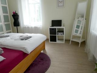 Apartmán Mařenka - Nové Město na Moravě - 1