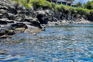 Napili Point - 3