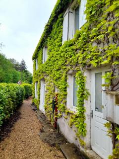 Avol d'oiseau - Villers-Farlay - 1