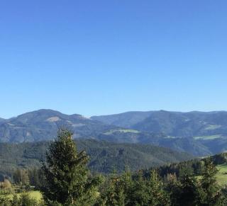 Minihaus in den Bergen/ Small mountain house - Greith - 9