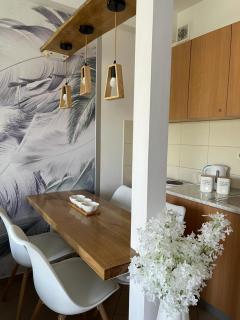 Apartman Lukić - Banja Koviljača - 8