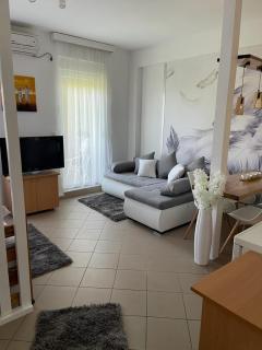 Apartman Lukić - Banja Koviljača - 6