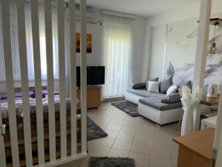 Apartman Lukić - Banja Koviljača - 4