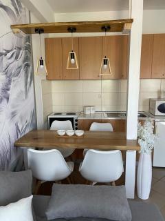 Apartman Lukić - Banja Koviljača - 3