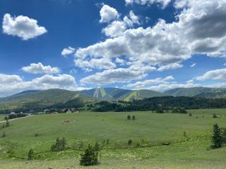 Apartmani Ribnica Tornik - Zlatibor - 6