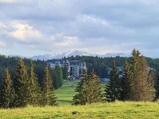 Sarah Deluxe Apartment in SILVER MOUNTAIN - Poiana Brasov - 5