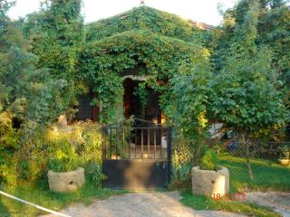 Casa Rural Finca Umbría - Plasencia - 5