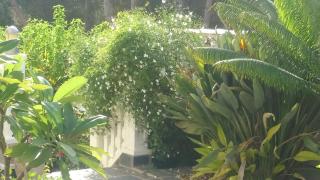Estrella Del Mar Tranquil and spacious villa, convenient location 3-5 mins' walk to all amenities - Villacosta - 0