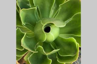 Buggerru la bomboniera - 2