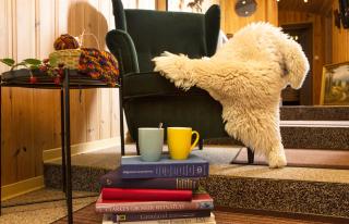 Ferienwohnung im Erzgebirge - 6