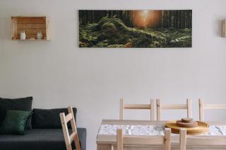 Apartmány u kostela - Lipova Lazne - 8