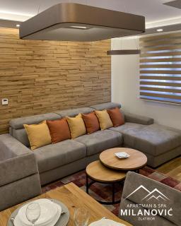 Apartman i spa Milanović Zlatibor - Zlatibor - 5