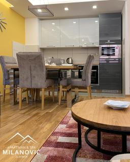Apartman i spa Milanović Zlatibor - Zlatibor - 4