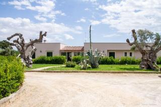 B&B Li Fichi Alezio/Gallipoli - Alezio - 7